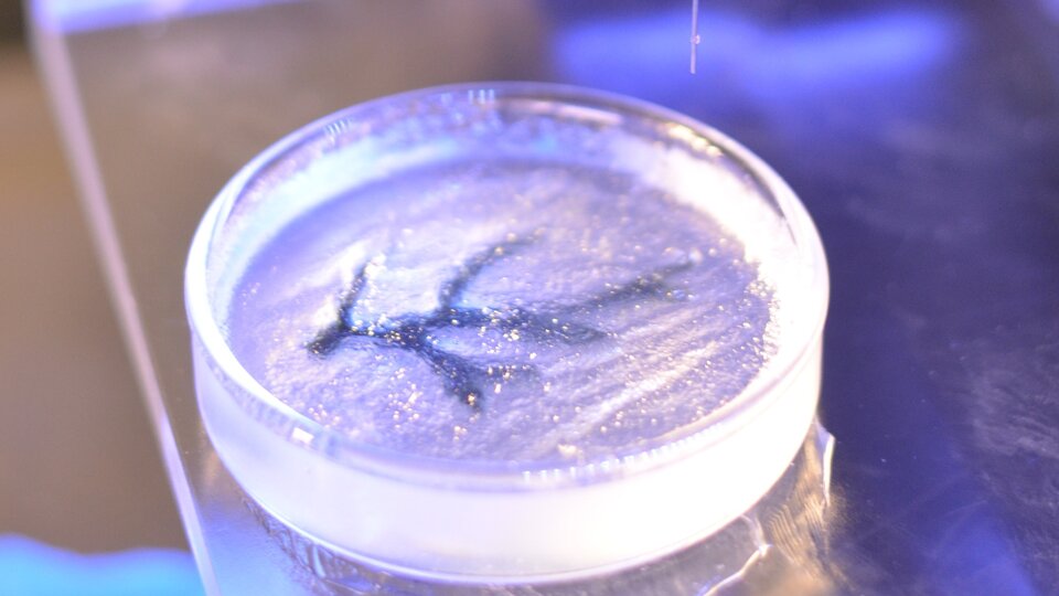 Virtual ESA 3D BioSystem Workshop